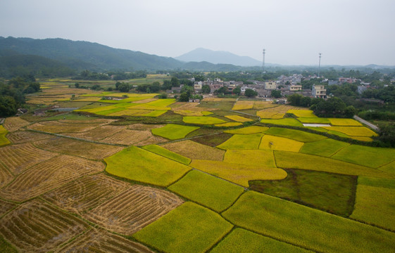 田园风光