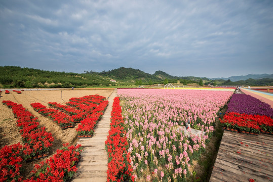 花田