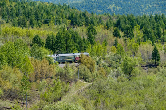 森林里穿行的绿皮火车
