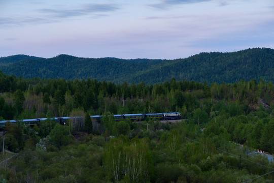 森林里穿行的绿皮火车