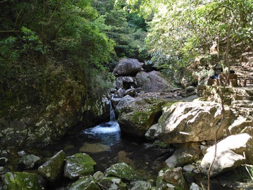 青山绿水