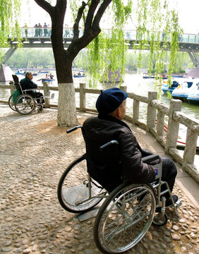公园 休闲 残疾人