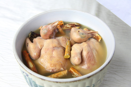 五指毛桃炖乳鸽