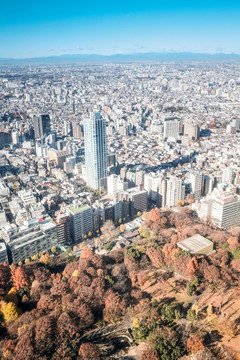 日本东京城市