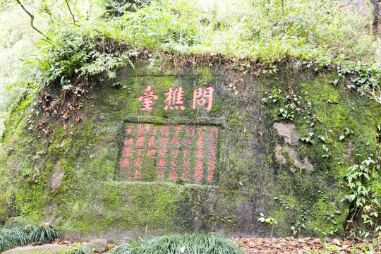 武夷山景区 