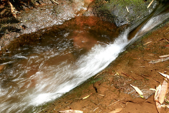 泉水 溪流 水花 溪水 小溪