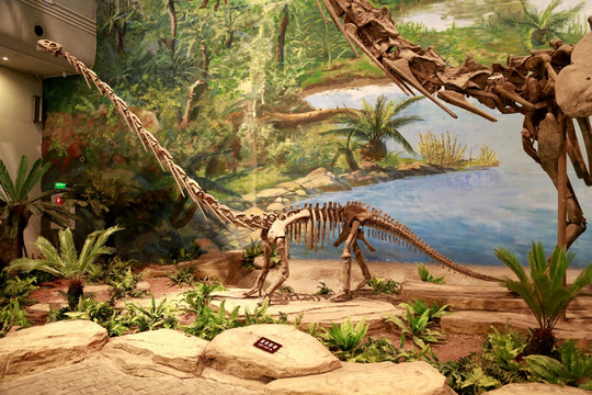 恐龙 化石 古生物 侏罗纪 骨