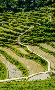 云和梯田山路