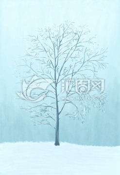 雪景 树