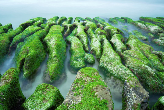 岩石海岸与新鲜海藻