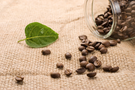 绿色叶棕色粗麻布背景的咖啡豆