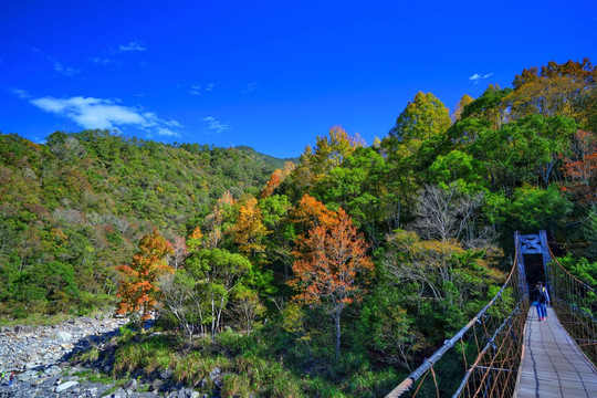 山涧景色