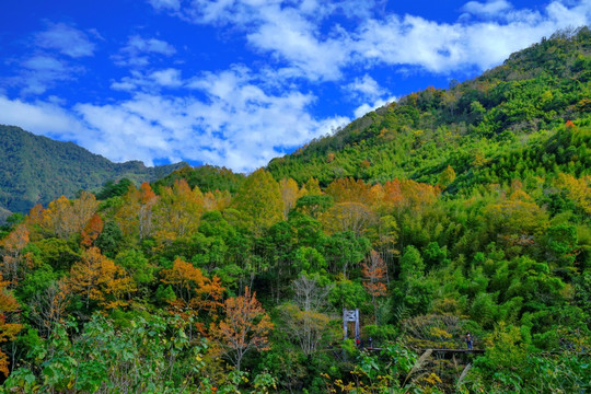 山涧景色