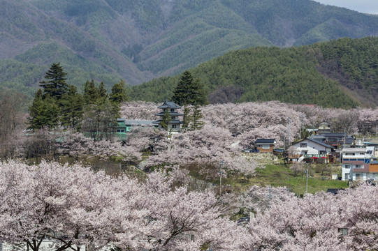 日本高远城堡遗址