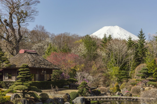 日本茅草屋顶屋与富士山