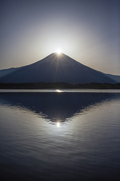 富士山和日本湖狸