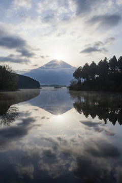 富士山和日本湖狸