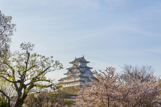 日本姬路城堡