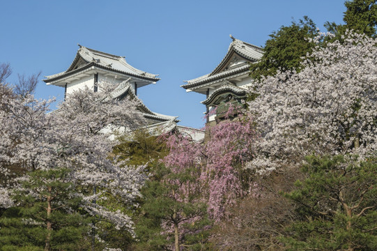 日本金泽城堡