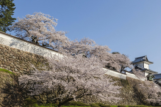 日本金泽城堡