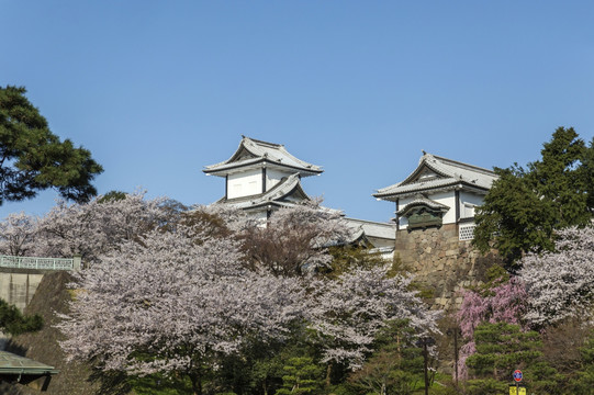 日本金泽城堡