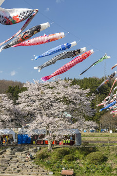 日立海滨公园