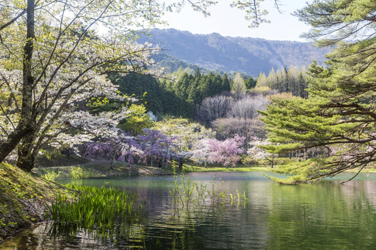 日本自然公园