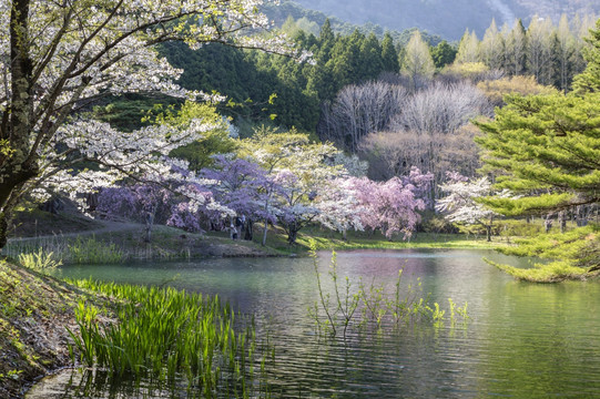 日本自然公园