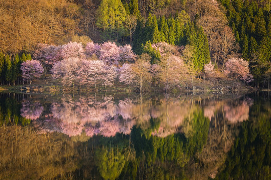 日本