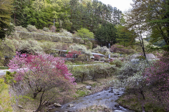 日本州里山山公园