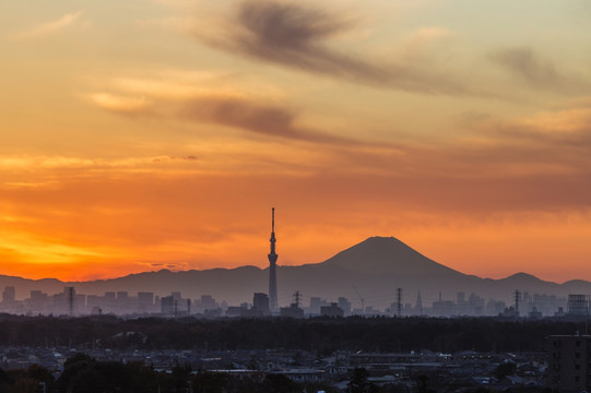 富士山和东京晴空塔