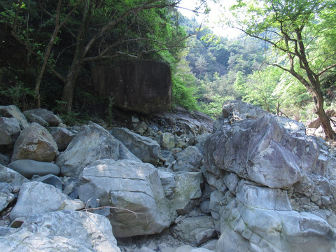 风景