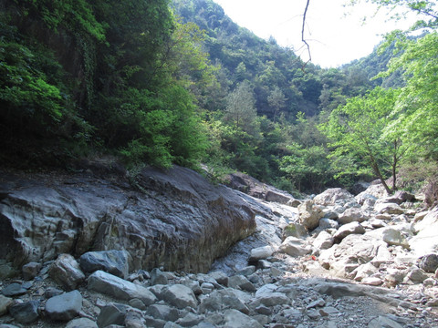 风景