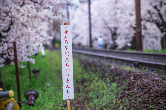 日本京都樱花铁路警示牌特写