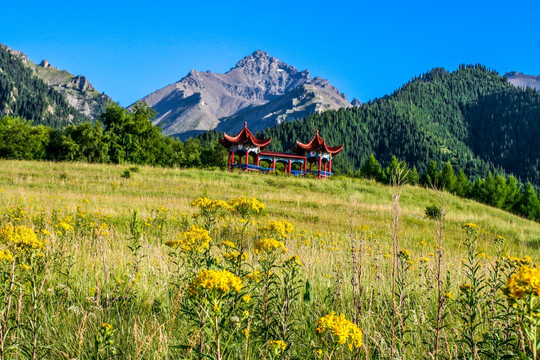 新疆天山山脉