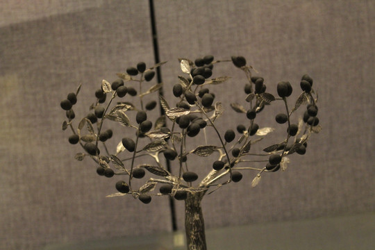 银橄榄枝