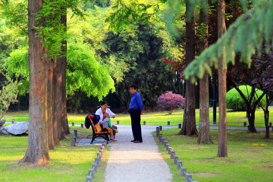 扬州荷花池公园