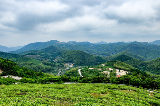 宁波白岩山风景