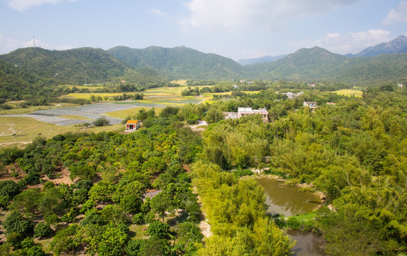 村庄 乡村 秋色