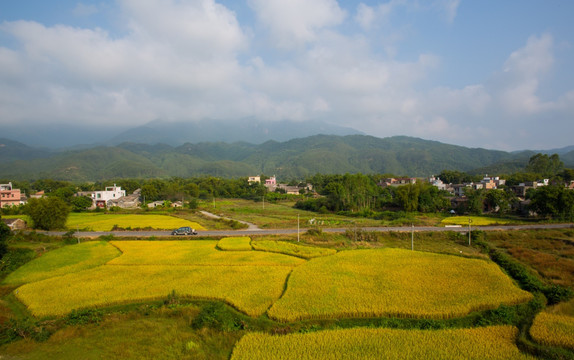 稻田 田野 乡村 村庄