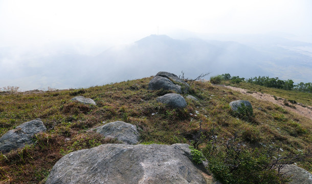 草坪 石头 龙高山