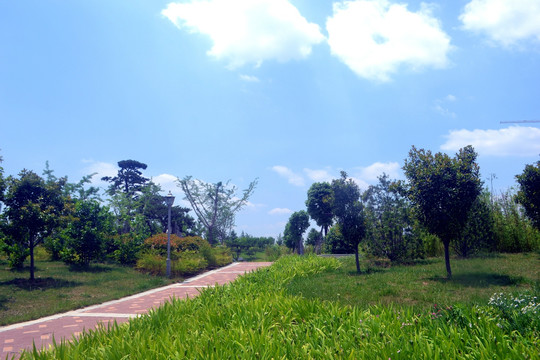 公园风景