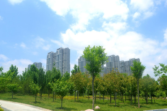 城市楼房