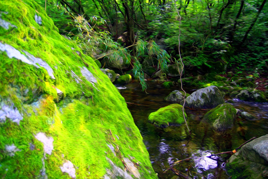 原始森林油画