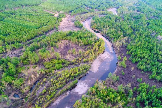 森林河 航拍