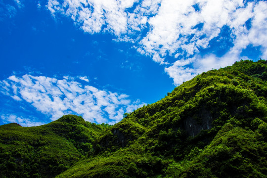 青山 晴朗