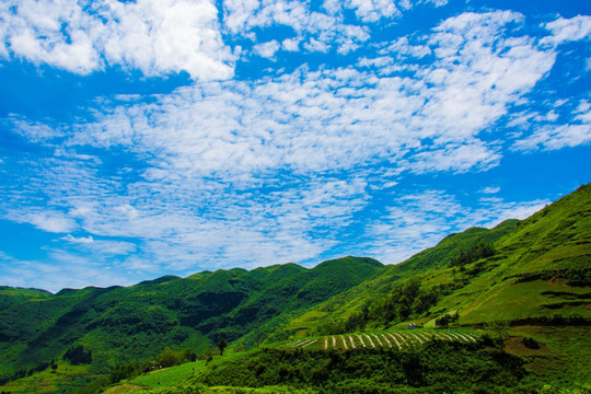 青山 天空