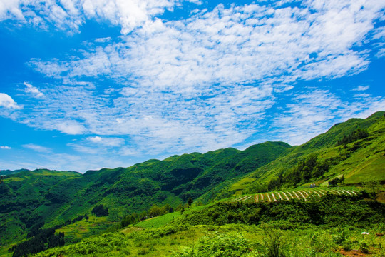 山地 不要