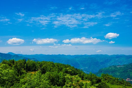 青山 大山