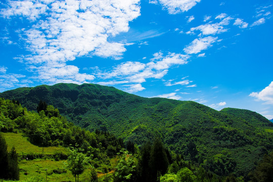 青山 大山